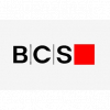 Логотип компании BCSFX24